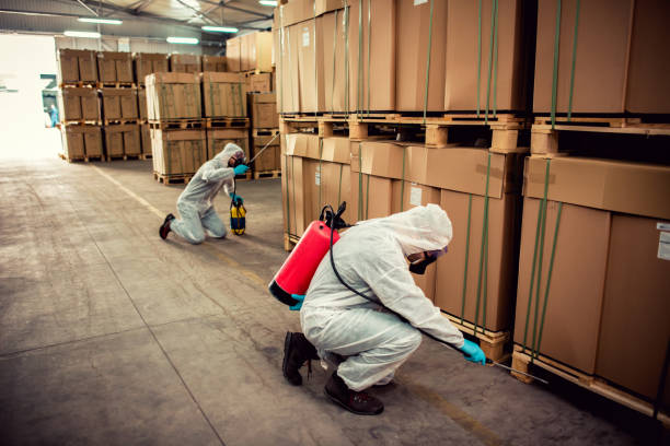 Wasp Removal Services in Crest View Heights, NY