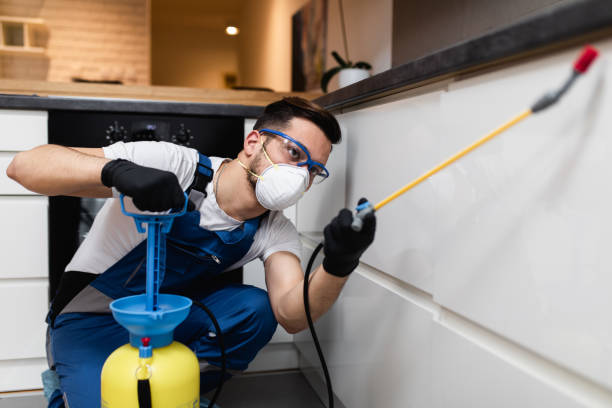 Best Mosquito Control Services  in Crest View Heights, NY