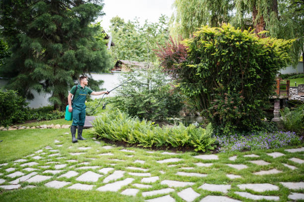  Crest View Heights, NY Pest Control Pros