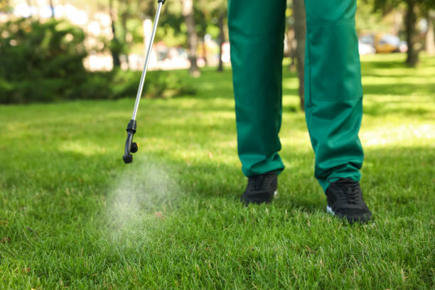 Best Insect Control  in Crest View Heights, NY