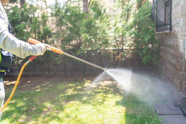 Trusted Crest View Heights, NY Pest Control Experts