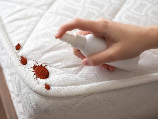 Best Best Pest Control Companies  in Crest View Heights, NY
