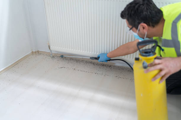 Best Pest Control Near Me  in Crest View Heights, NY