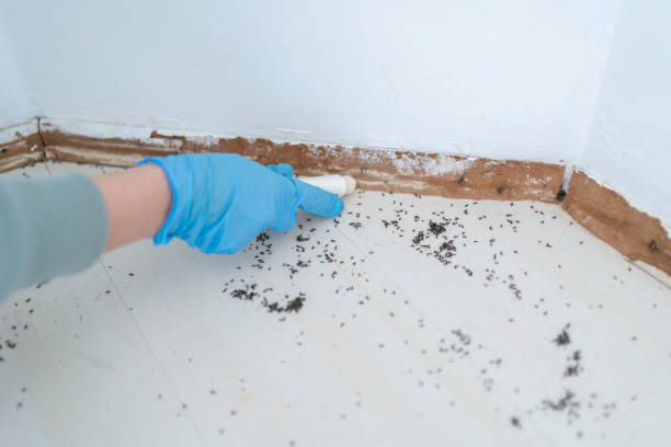 Best Pest Control Near Me  in Crest View Heights, NY