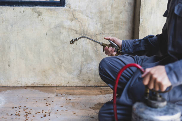 Best Best Pest Control Companies  in Crest View Heights, NY